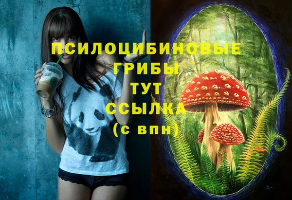 гашиш Протвино